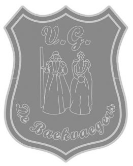 Pins Zilver kleurige Raadspin De V.G. Baekvaegers