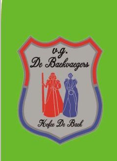 Carnavalsvlag en Banners