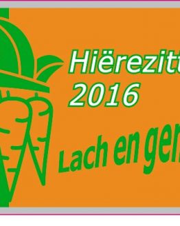 Pins Hierezitting 2016 Wortelepin Blierick
